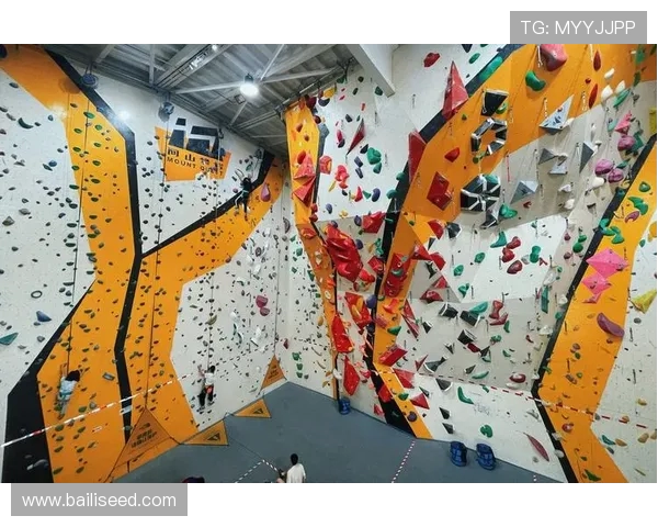 攀岩灵活性大比拼上海攀岩队荣登榜首引发热议