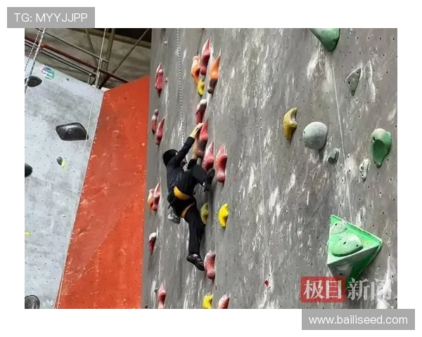 武汉攀岩队在世界攀岩锦标赛中的蜕变与成长之路探秘
